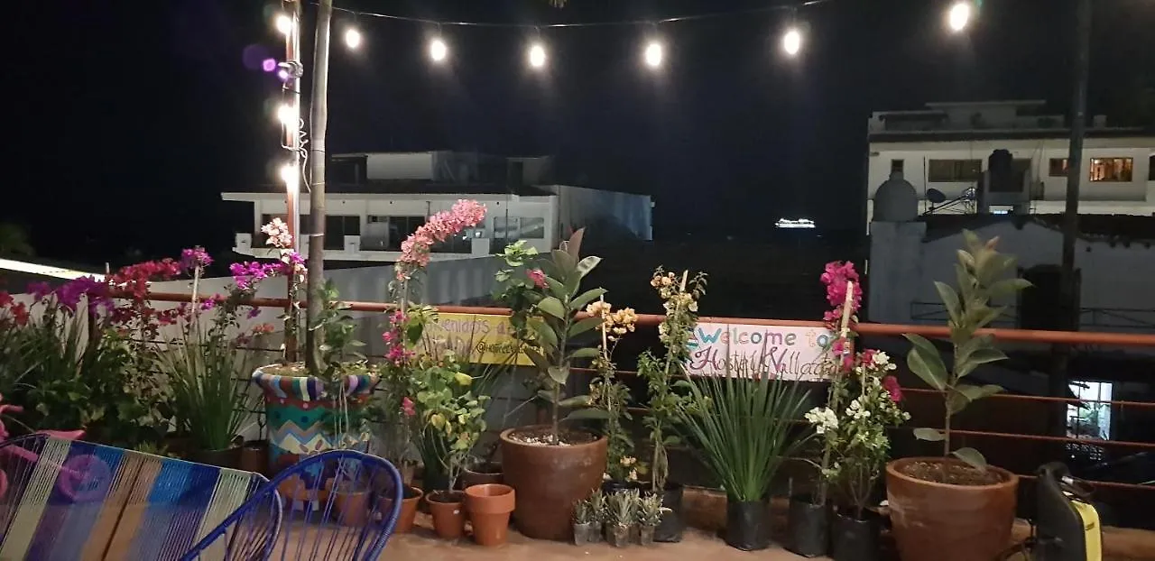 פוארטו ואלארטה Hostel Vallarta (Adults Only)  פוארטו ואלארטה